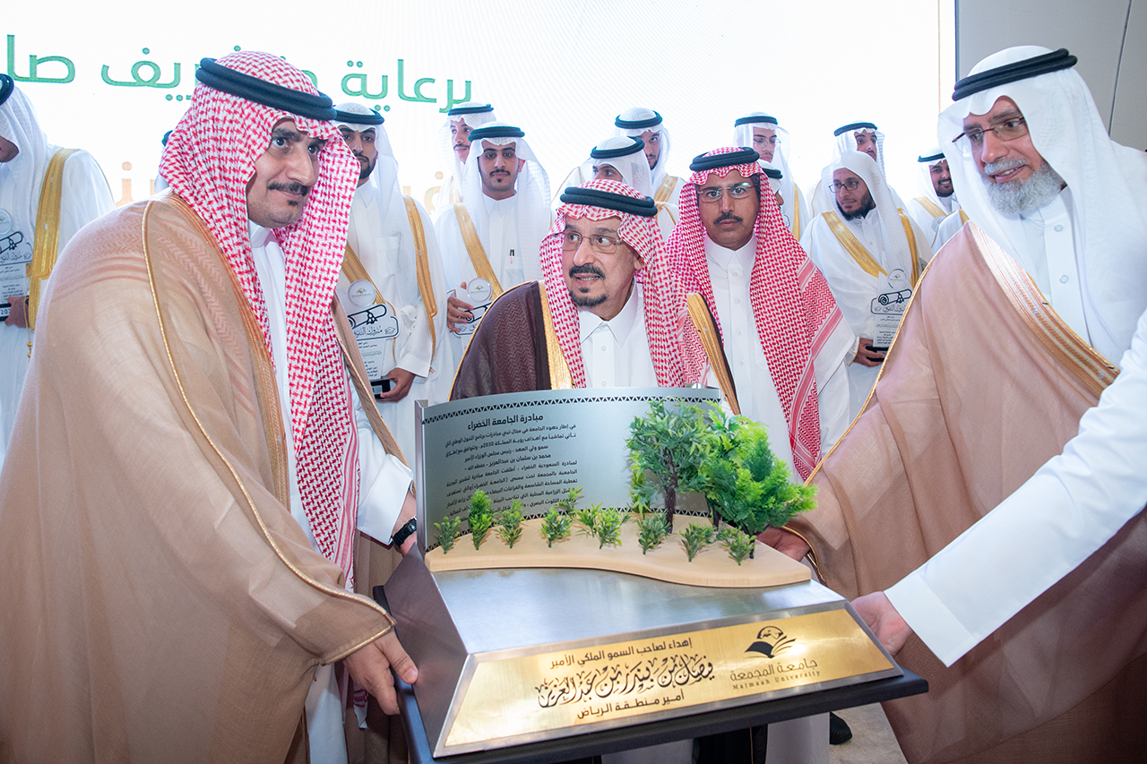 جامعة المجمعة