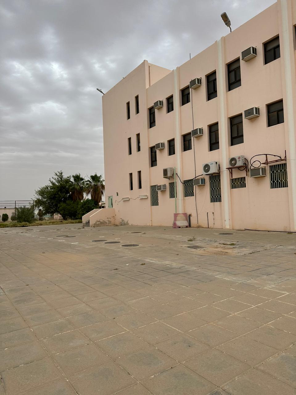 صورة 5