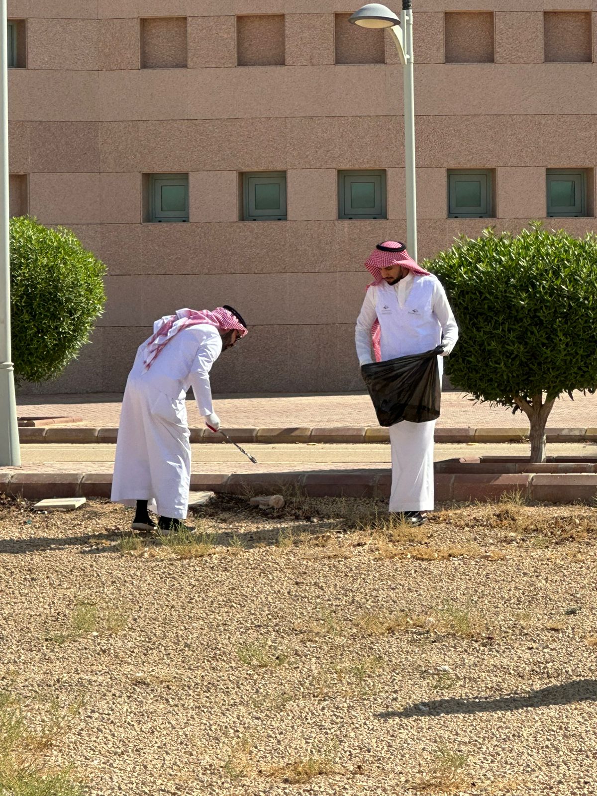 امتداداً لمراحل تنفيذ "مبادرة تحسين بيئة المدن الجامعية" الإدارة وبالتعاون مع كلية العلوم يُنفذان نشاط المبادرة