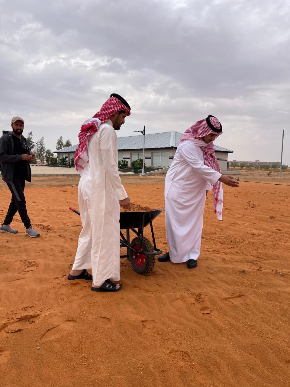 جامعة المجمعة