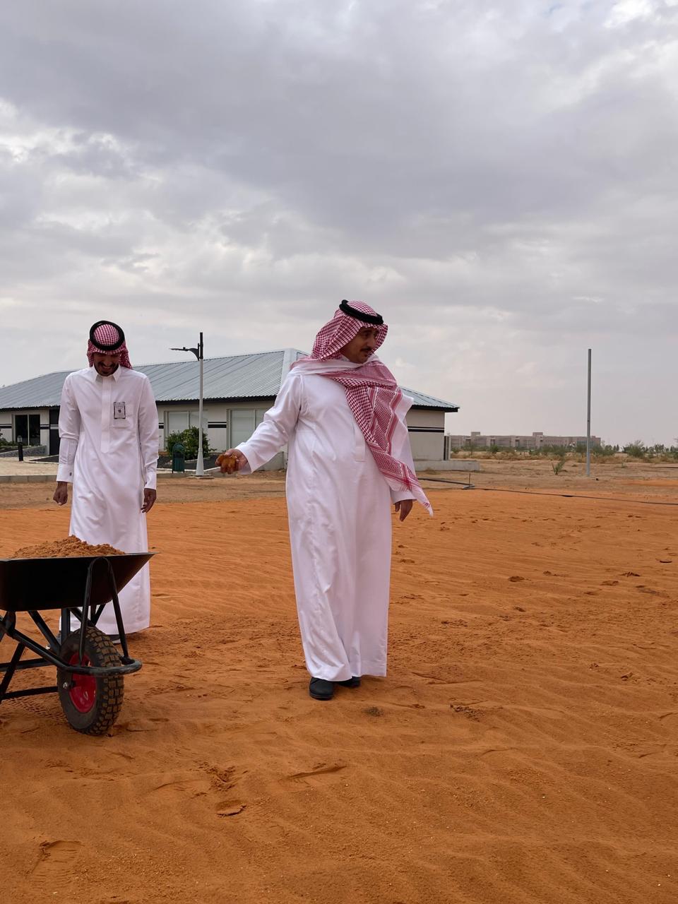 جامعة المجمعة