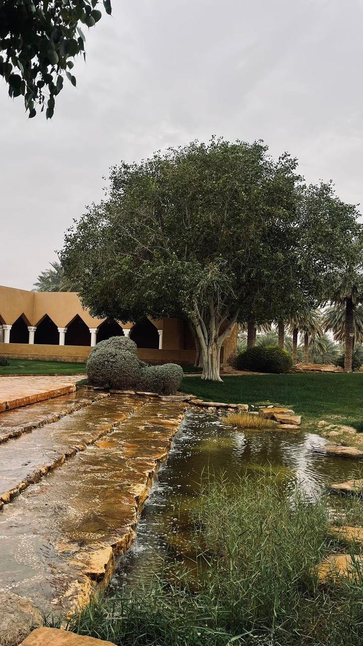 زيارة
