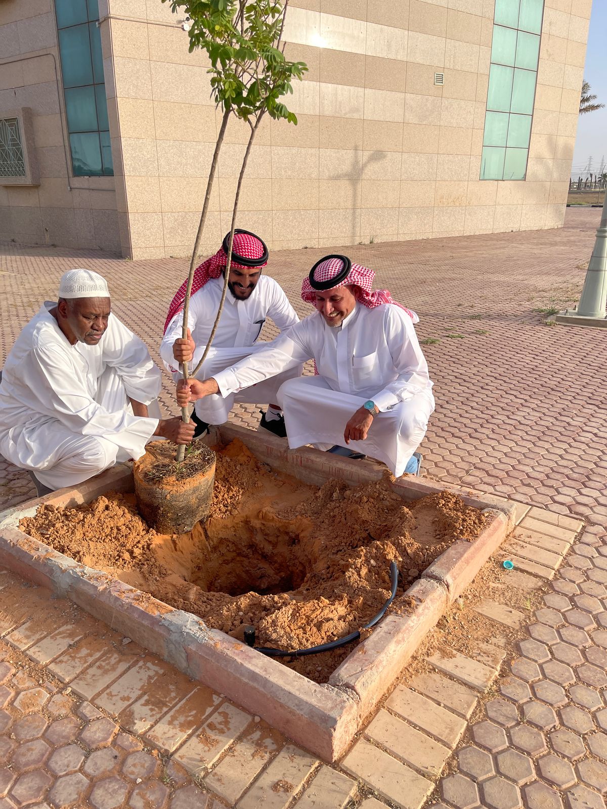 أسبوع البيئة بالإسكان 2025