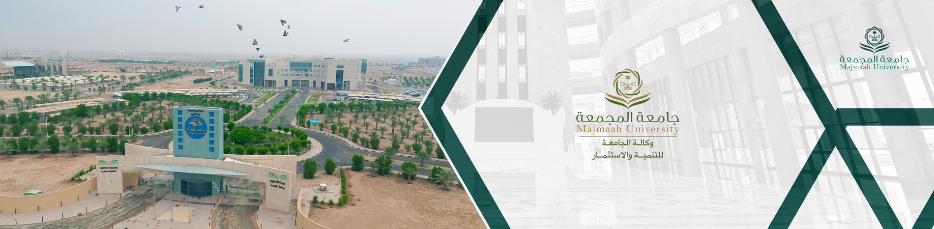 وكالة الجامعة للتنمية والاستثمار