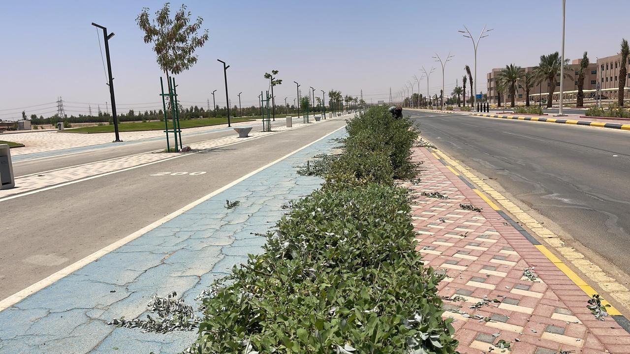 صورة