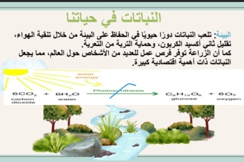الأحياء في حياتنا