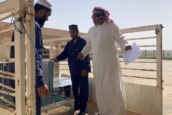 كلية الشريعة والقانون