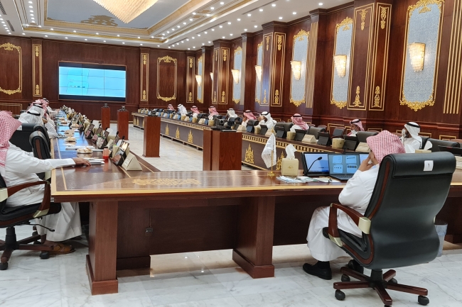 جامعة المجمعة
