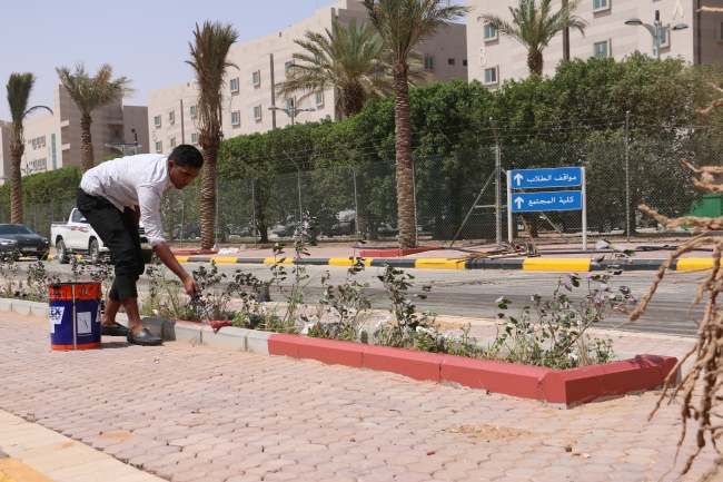 صورة