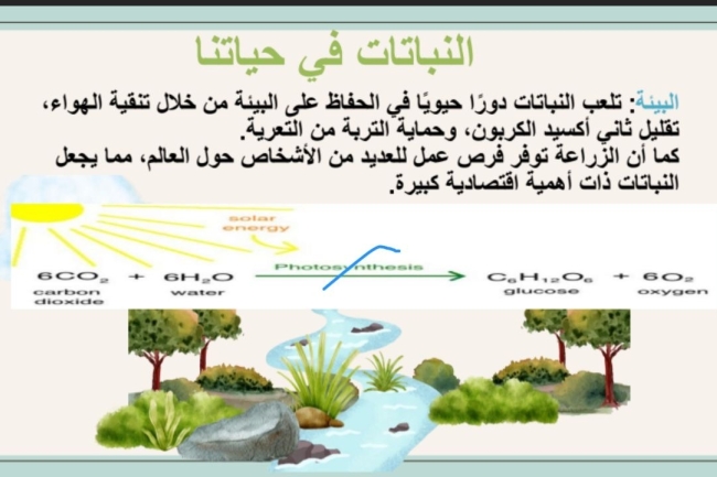 الأحياء في حياتنا