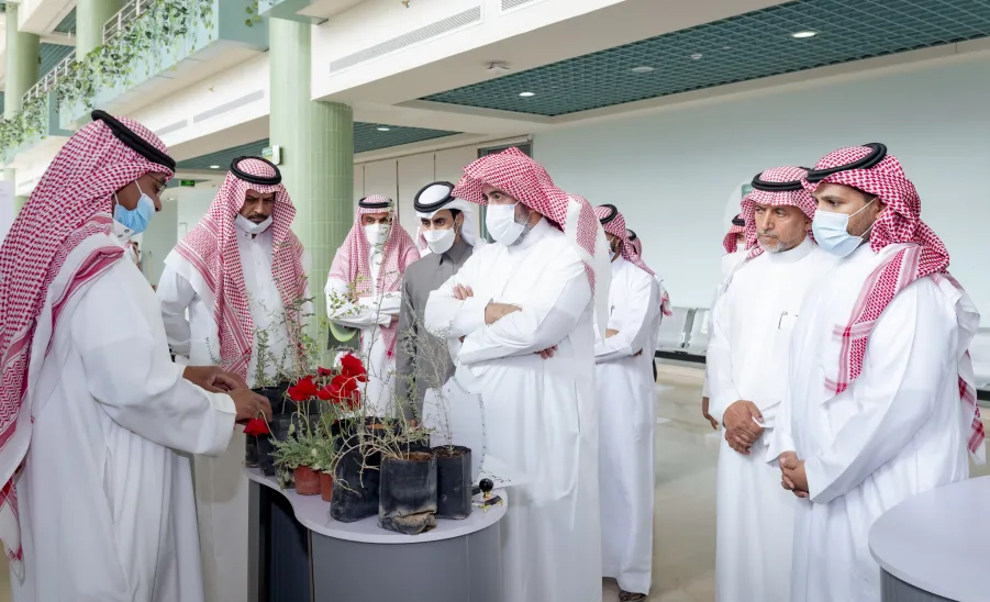 MU LAUNCHES ACTIVITIES OF ENVIRONMENT WEEK
 -   وكيل الجامعة يدشن فعاليات أسبوع البيئة بالجامعة