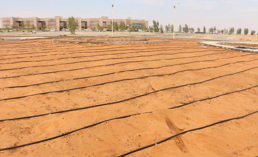 الإدارة تجري عدداً من الأعمال لتزيين الطرق والممرات من أجل بيئة خضراء -  تزيين الطرق والممرات من أجل بيئة خضراء