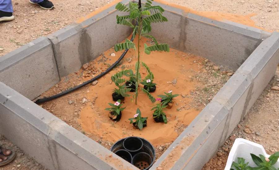 The Administration takes part in initiative to plant trees and flowers   -  شتله