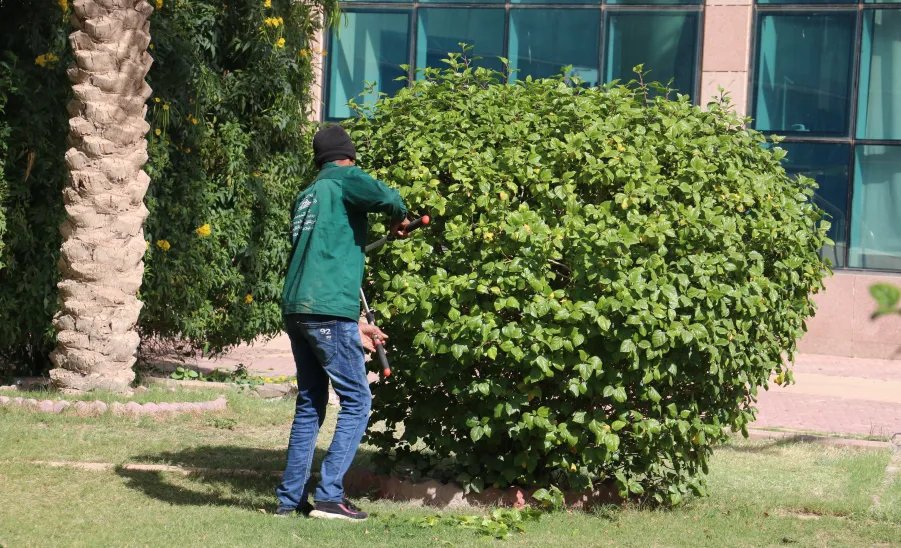 الإدارة تستكمل أعمالها التطويرية في مبنى مجمع الكليات للطلاب بالمجمعة - تأهيل