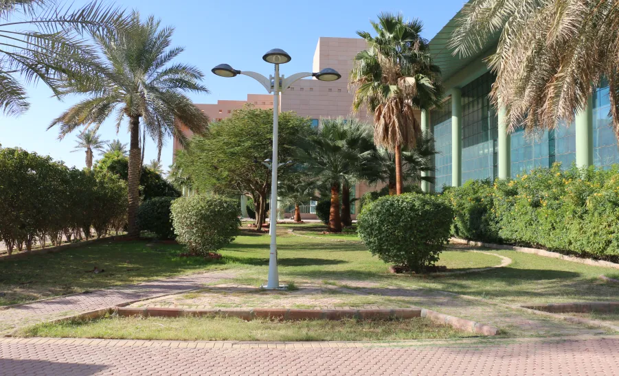 الإدارة تستكمل أعمالها التطويرية في مبنى مجمع الكليات للطلاب بالمجمعة - تأهيل