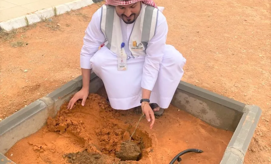 تفعيل أسبوع البيئة 2024 م بالإسكان - 1