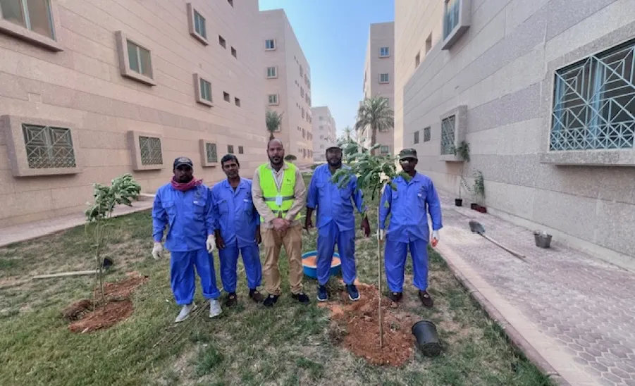 Afforestation at the university housing  -  3