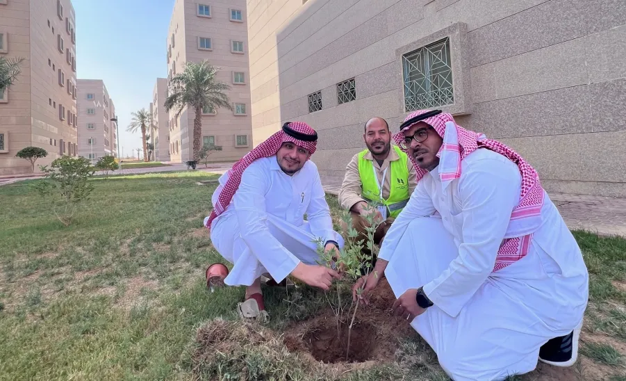 Afforestation at the university housing  -  6