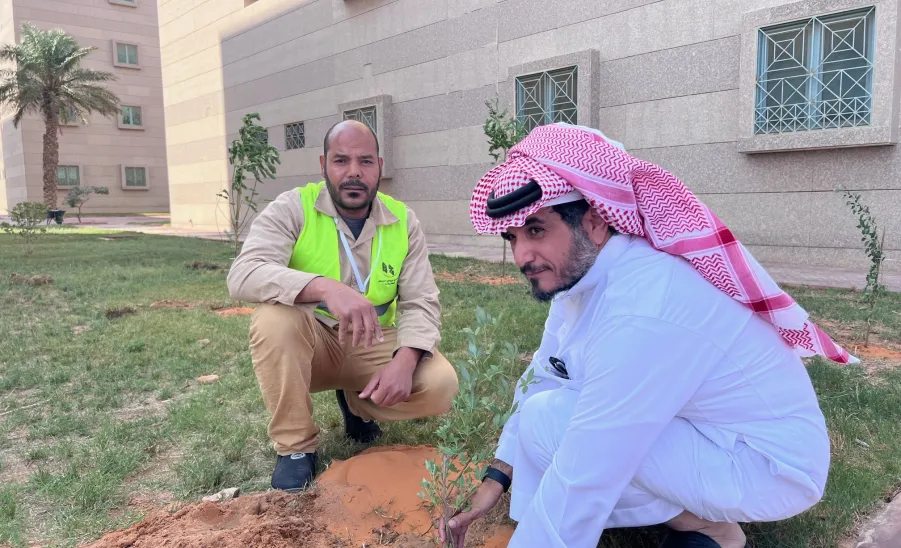 Afforestation at the university housing  -  4