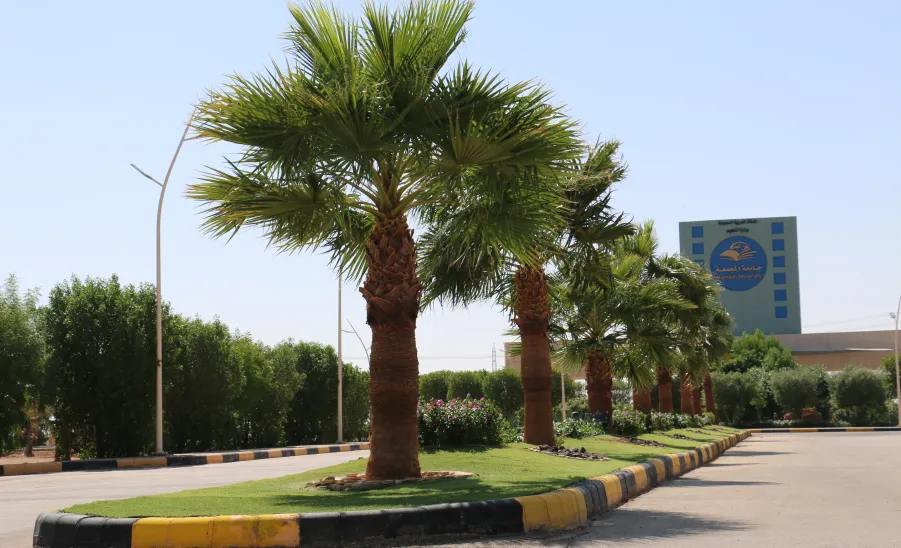 The General Administration of Projects, Operation and Maintenance renovates the College Complex Garden in Majmaah - صورة