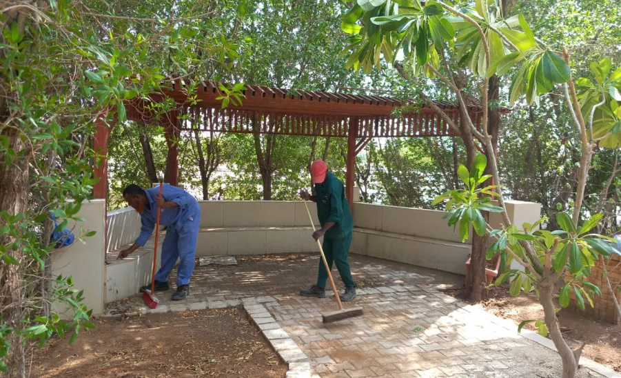 The General Administration of Projects, Operation and Maintenance renovates the College Complex Garden in Majmaah - صورة