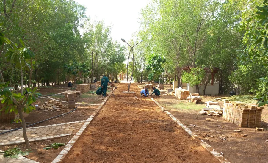 The General Administration of Projects, Operation and Maintenance renovates the College Complex Garden in Majmaah - صورة