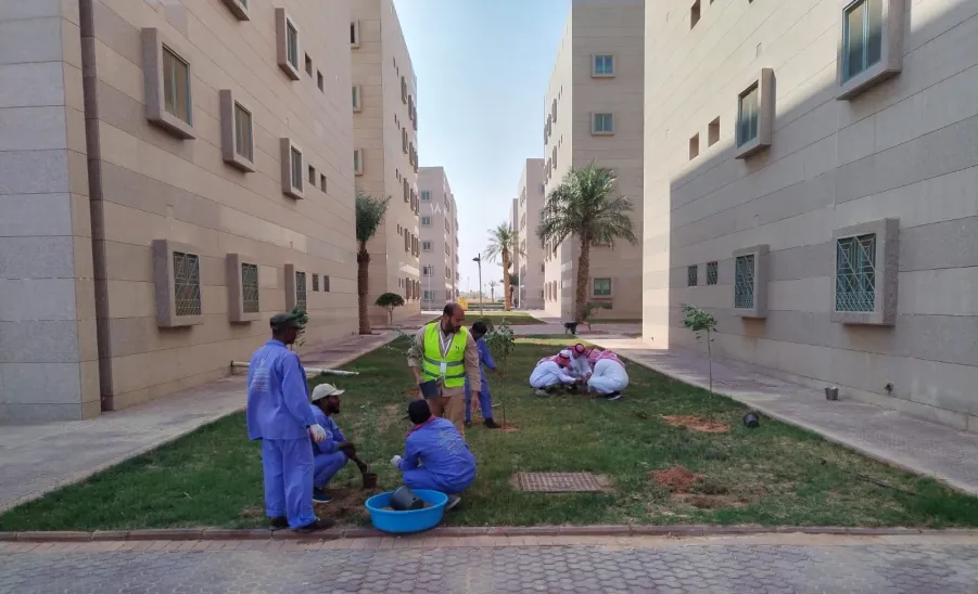 Afforestation at the university housing  -  1