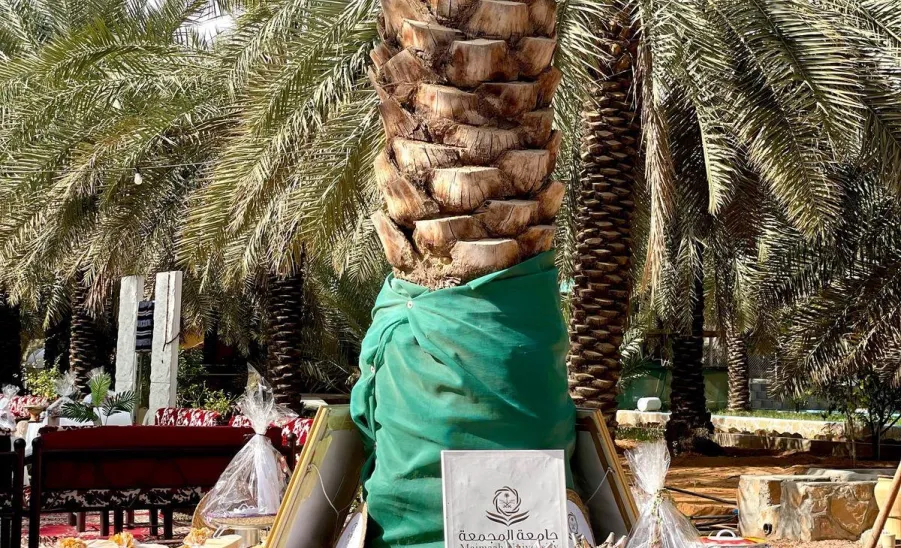 The Applied College celebrates the founding day -  الزلفي طالبات يوم التأسيس 