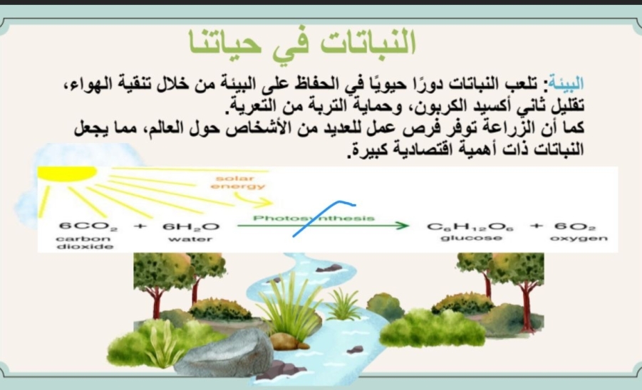 الأحياء في حياتنا