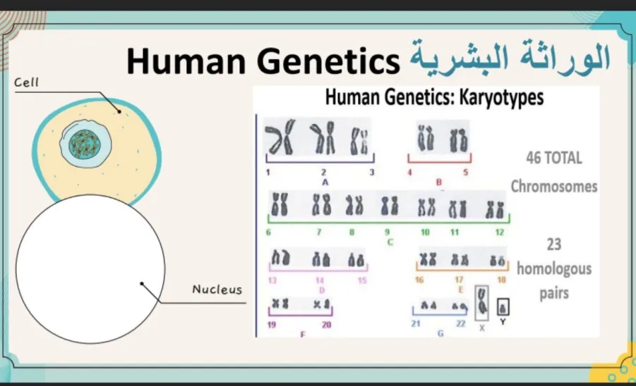 The Volunteering and Community Service Unit organizes a course titled: "Biology in Our Lives" - الأحياء في حياتنا 