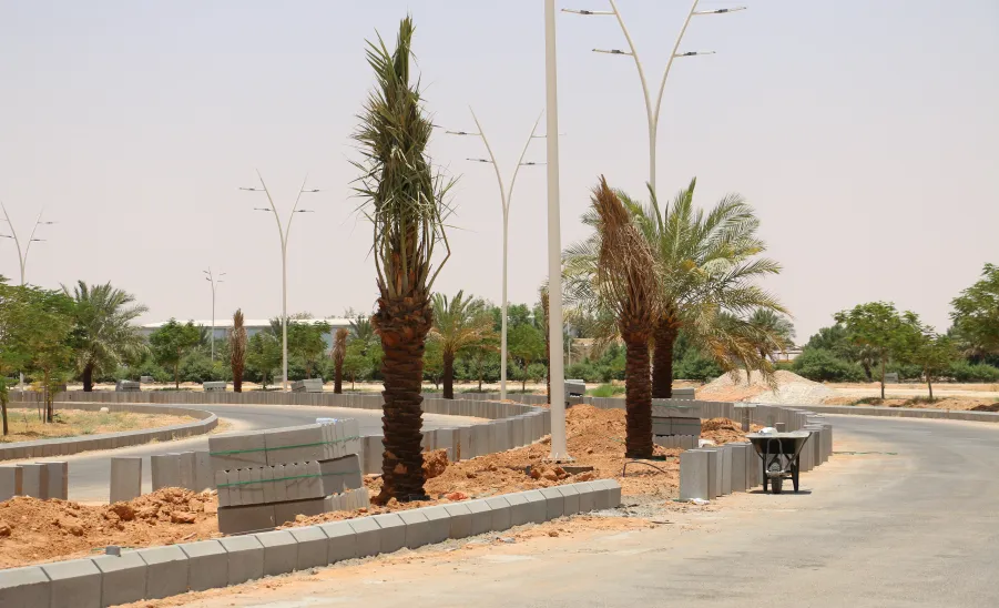 The General Administration of Projects carries out infrastructure enhancements works across the university campus - صورة