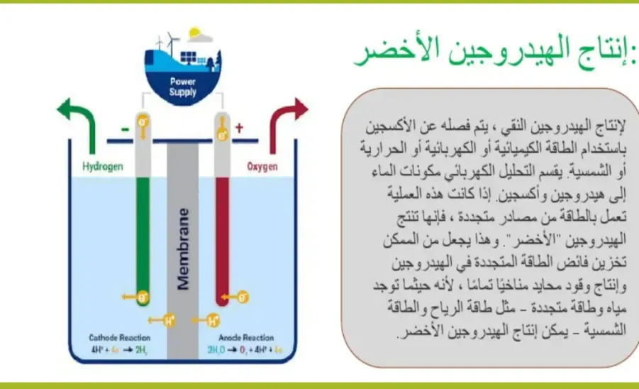 كلية العلوم تقيم دورة بعنوان : الكيمياء الخضراء والاستدامة -  الكيمياء الخضراء والاستدامة