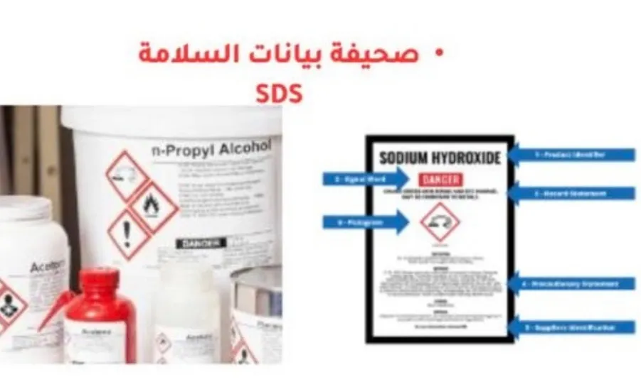 The College of Science holds a Training Course: “Approved Guide for General Laboratory Safety” -  كلية العلوم تقيم دورة تدريبية بعنوان الدليل المعتمد للسلامة العامة في معامل كليه العلوم