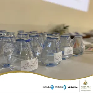 An activity entitled 'projects'