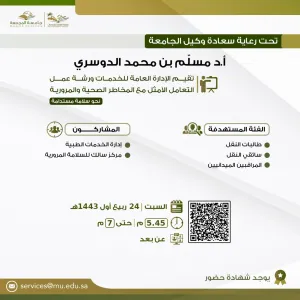 A Workshop on safe means of dealing with multiple risks