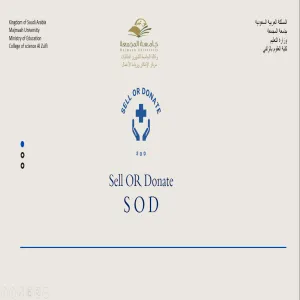 Participation of a team of students in the final qualifiers for entrepreneurial camps program