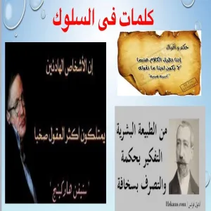 Training Course entitled (strategies to deal with negative behavior)