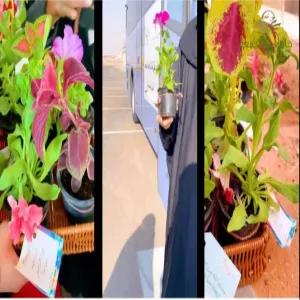 General Administration of Services holds multiple activities on the National Day