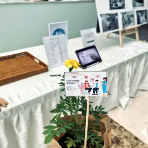 The college holds an event entitled "Patient Safety and Health"