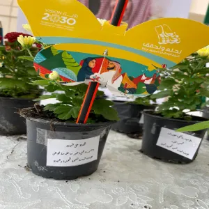 Women's department at GAOHE participates in the national day celebration