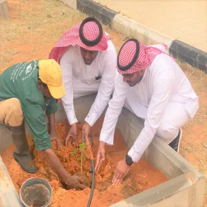 Environment Week 2024 celebrated at the university housing