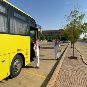 Daily trips from cities to governorates