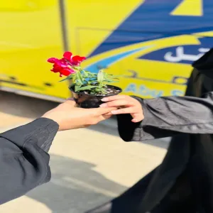 GAS distributes seedlings on the National Tree Planting Season