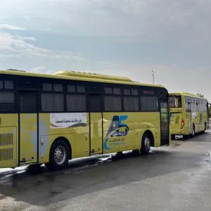 About 215 trips were made on November, 2024