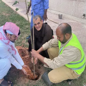 Afforestation at the university housing