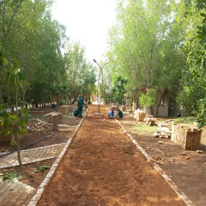 The General Administration of Projects, Operation and Maintenance renovates the College Complex Garden in Majmaah