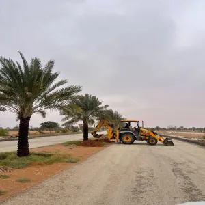The General Administration of Projects, Operations, and Maintenance Conducts Comprehensive Landscaping Maintenance at the University