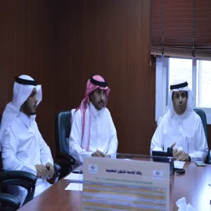 Vice-Rector for Educational Affairs: There should be constant follow up on study plans development