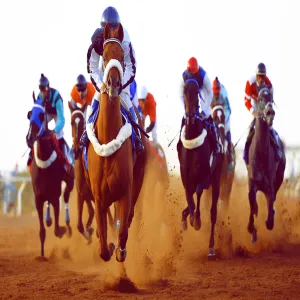UNIVERSITY OF MAJMAAH SPONSORS HORSE RACING THE TWENTY- THIRD UNDER THE AUSPICES OF HIS EXCELLENCY THE RECTOR OF THE UNIVERSITY