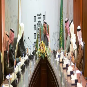 THE SUPREME COMMITTEE FOR FOLLOWING-UP THE UNIVERSITY PROJECTS HOLDS A MEETING